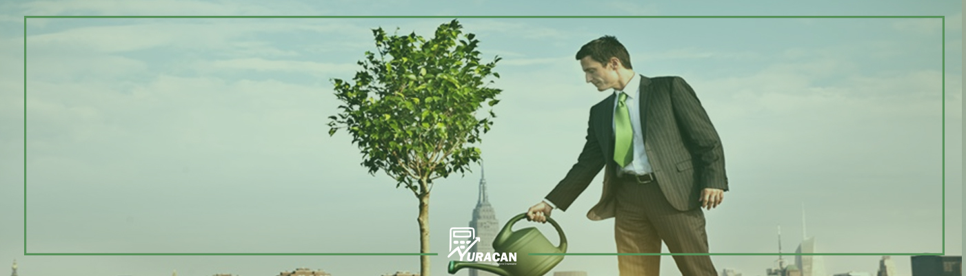 Negócios sustentáveis: saiba como crescer de forma estruturada